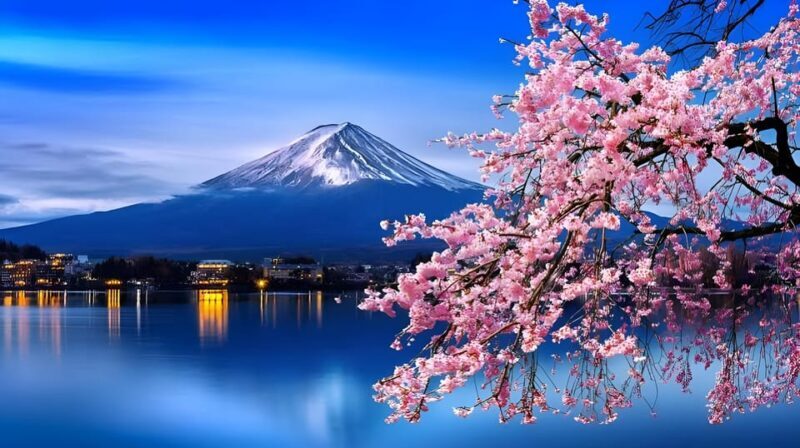 Tokyo: Mount Fuji and Hakone private sightseeing tour - Itinerary B: The Serenity of Hakone