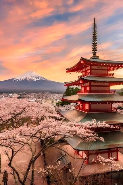 Tokyo: Mount Fuji and Hakone private sightseeing tour - Transportation and Timing