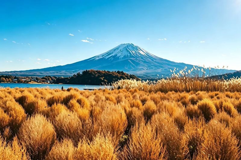 Tokyo Mount Fuji and Lake Kawaguchiko One-Day Tour (Driver-guide service) - Chureito Pagoda: the climb is part of the visit