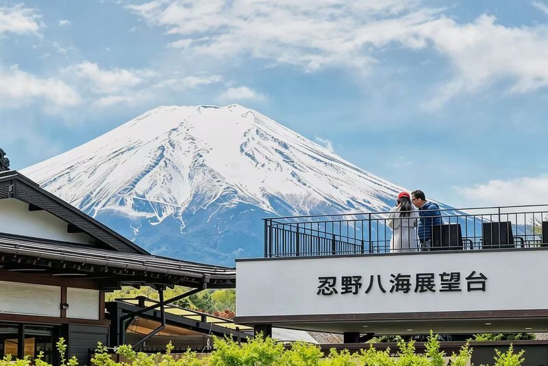 Tokyo Mount Fuji and Lake Kawaguchiko One-Day Tour (Driver-guide service) - A driver-guide service with variable narration