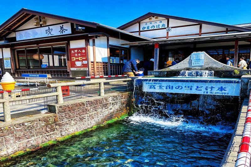 Tokyo Mount Fuji Customizable Day Tour - Who should choose this trip?