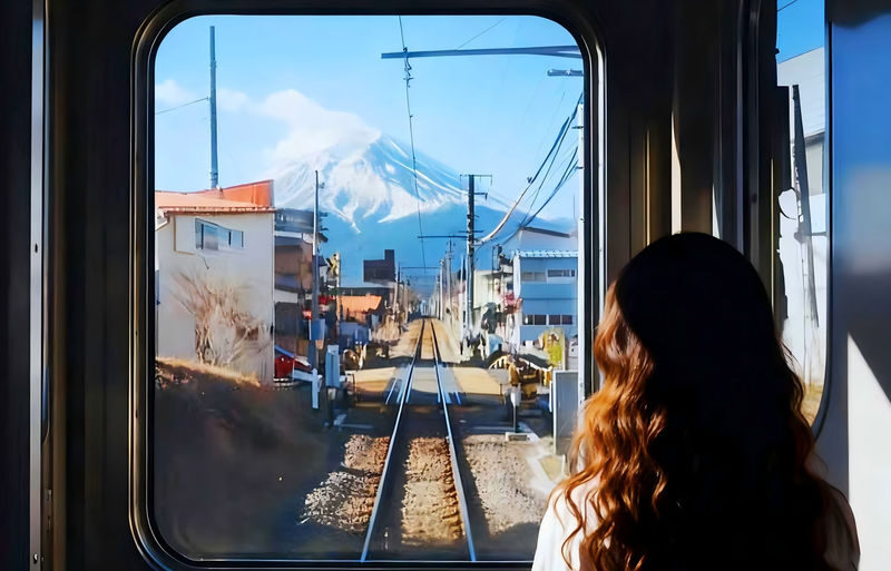 Tokyo Mount Fuji Day Trip: Fruit Picking and Sightseeing Train - The useful details at a glance