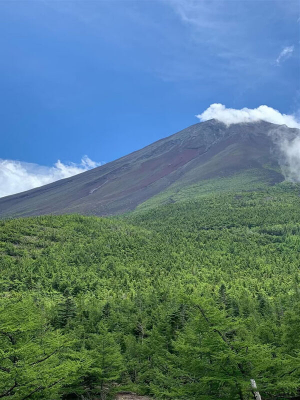 Tokyo Mount Fuji Day Trip: Fruit Picking and Sightseeing Train - Choosing between the 5th Station and the pagoda view