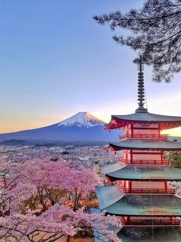 Tokyo Mount Fuji Day Trip: Fruit Picking and Sightseeing Train - Lunch at Kin Fuji, with the meal on your tab