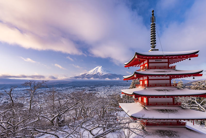 Tokyo Mount Fuji Day Trip: Fruit Picking and Sightseeing Train - The pace, the vehicle and the return to Tokyo