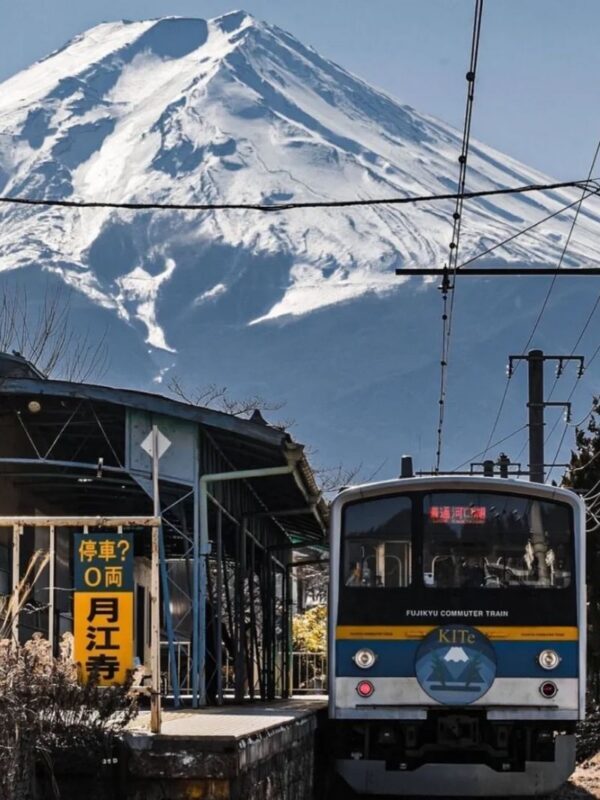 Tokyo Mount Fuji Day Trip: Fruit Picking and Sightseeing Train - What the price covers, and what to check