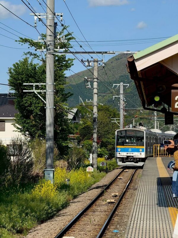 Tokyo Mount Fuji Day Trip: Fruit Picking and Sightseeing Train - Should you book this Fuji day trip?