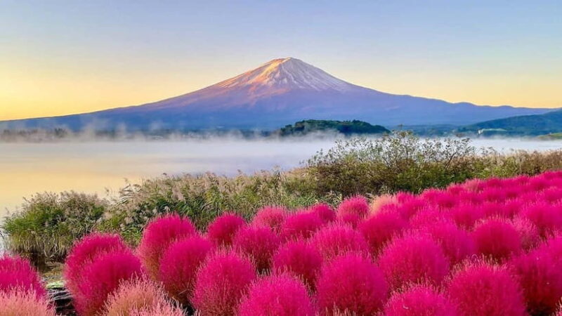 Tokyo: Mount Fuji Day Trip with Scenic & Local Stops - A Deep Dive into the Mount Fuji Day Trip Experience