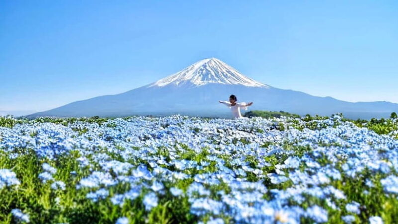Tokyo: Mount Fuji Day Trip with Scenic & Local Stops - What Makes This Tour Stand Out