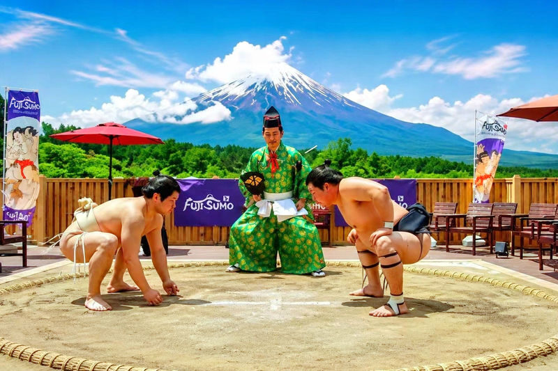 Tokyo Mount Fuji Day Trip with Sumo Show Experience - At a glance