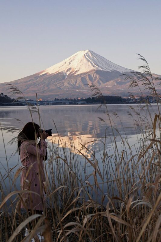 Tokyo Mount Fuji Full-Day Private Guided Tour - Flexibility is the main advantage