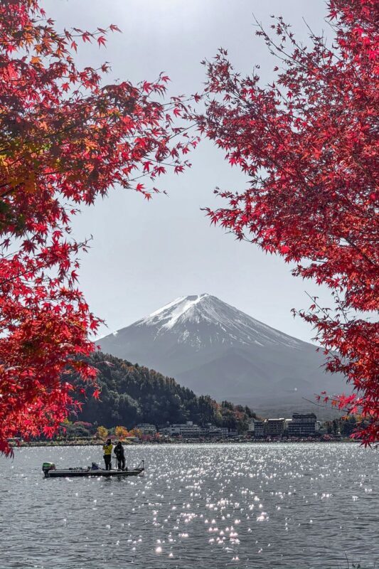 Tokyo Mount Fuji Full-Day Private Guided Tour - Weather, the Fifth Station and backup plans