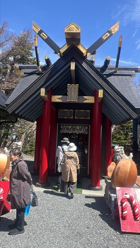 Tokyo Mount Fuji Full-Day Private Guided Tour - Should you book?