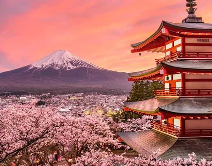 Tokyo: Mount Fuji Full day Private Sightseeing Guided tour - Exploring Japan’s Iconic Landscape: Mount Fuji and Hakone in a Private Day Tour
