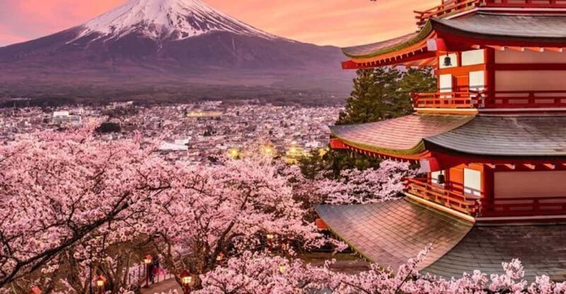 Tokyo: Mount Fuji Full day Private Sightseeing Guided tour - Key Points