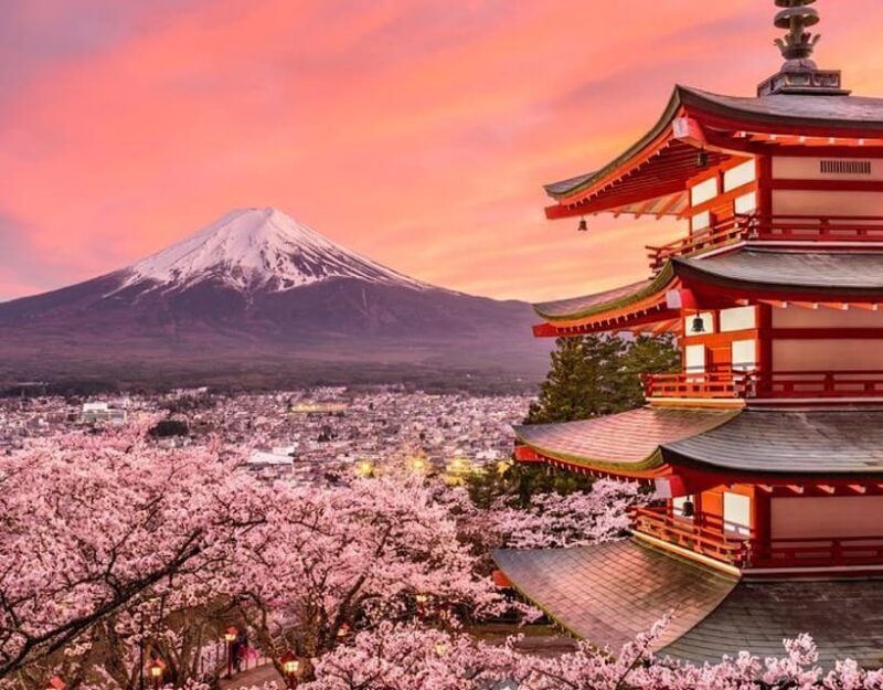Tokyo: Mount Fuji Full day Private Sightseeing Guided tour - Why Choose This Tour? Analyzing the Value