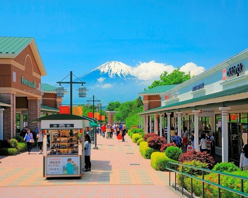 Tokyo Mount Fuji & Gotemba Full-Day Private Tour - Key points to know before you book
