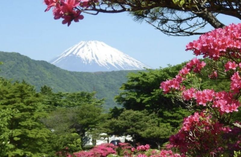 Tokyo Mount Fuji Hakone Full-Day Private Tour - What the guide can change, and what the guide cannot