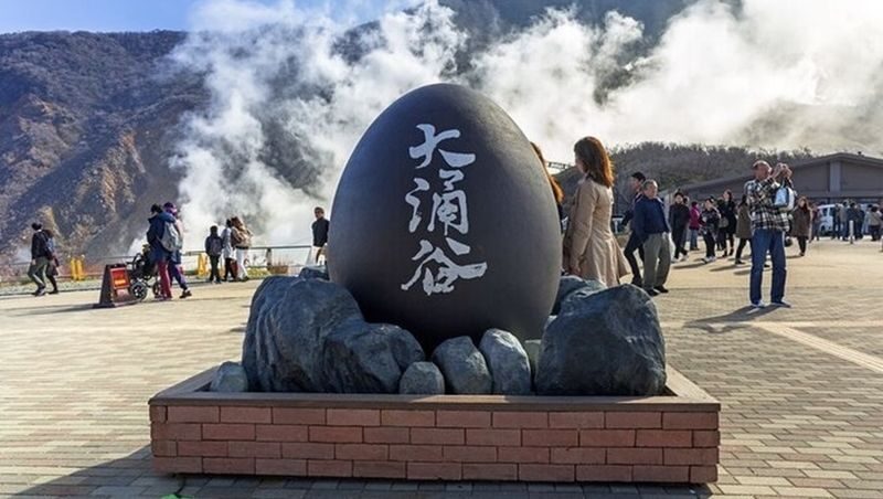 Tokyo Mount Fuji Hakone Full-Day Private Tour - Who should book this Fuji and Hakone day trip?