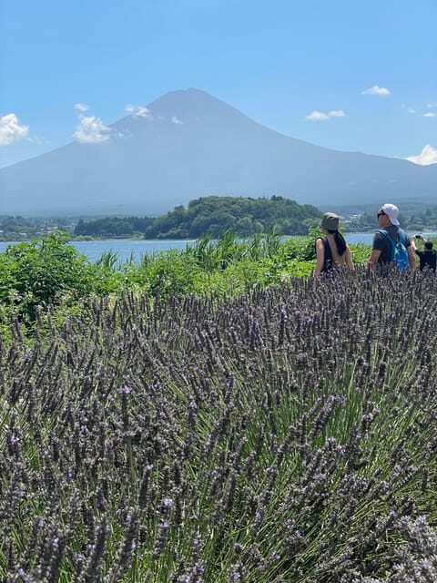 Tokyo: Mount fuji & Hakone Private Day Tour - Why This Tour Stands Out