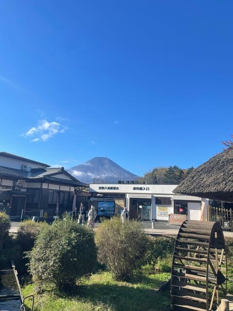 Tokyo: Mount fuji & Hakone Private Day Tour - Who Will Enjoy This Tour?