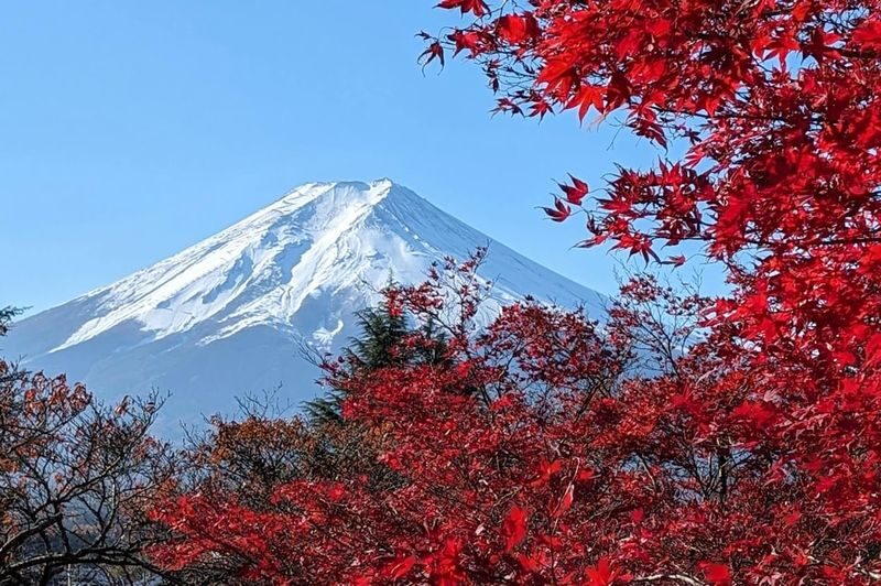 Tokyo Mount Fuji & Hakone Shrine Full-Day Private Tour - How to get the day you want