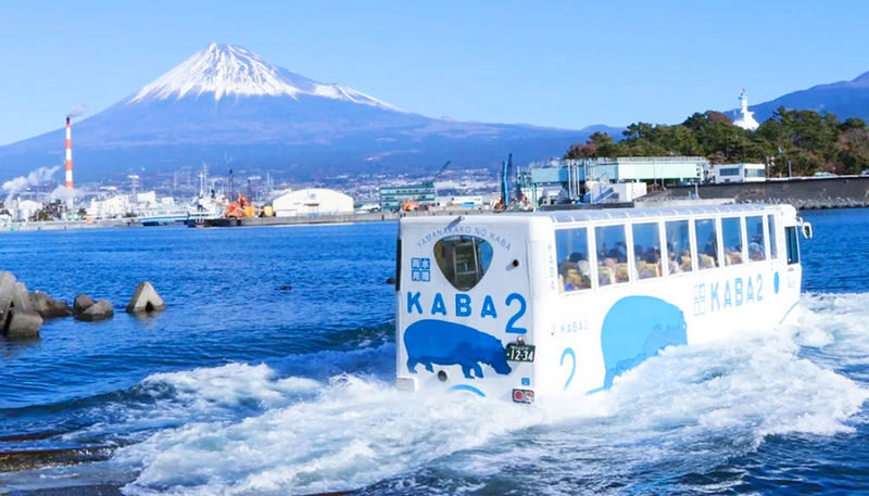 Tokyo Mount Fuji, KABA Bus, and Oshino Hakkai Day Trip - A Fuji day with more than one viewpoint