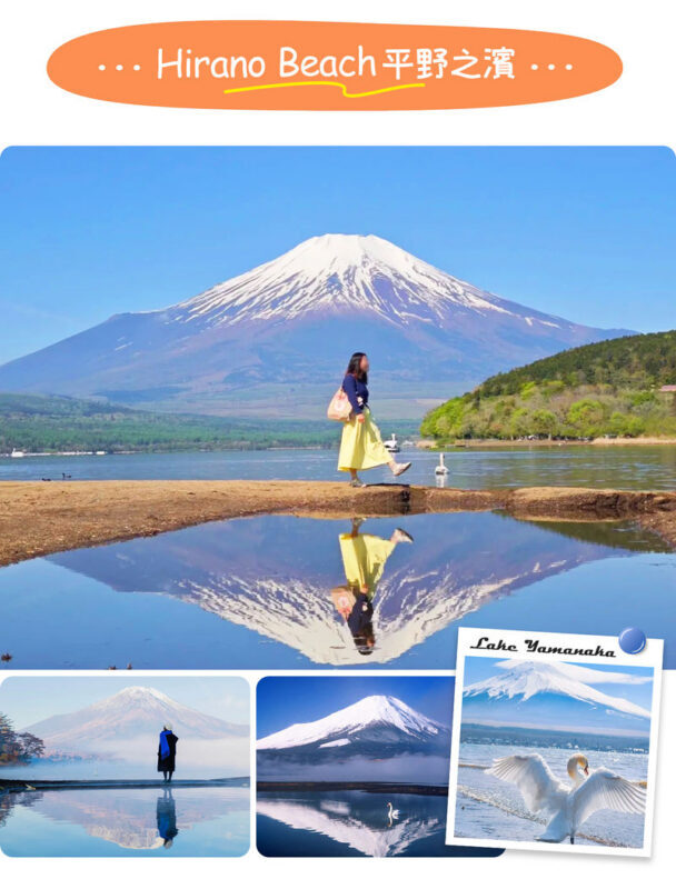 Tokyo Mount Fuji, KABA Bus, and Oshino Hakkai Day Trip - Oishi Park: flowers in front of Fuji