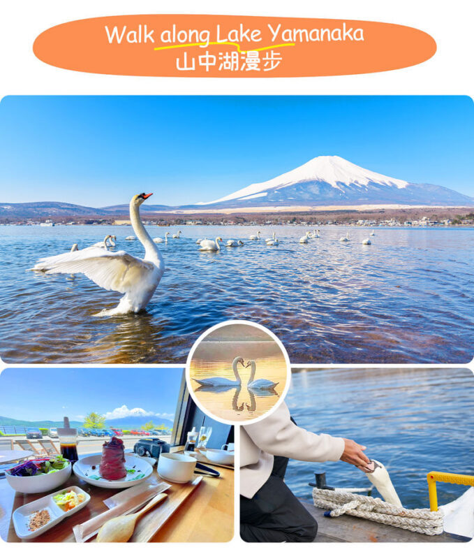 Tokyo Mount Fuji, KABA Bus, and Oshino Hakkai Day Trip - Who should book this Mount Fuji day trip?