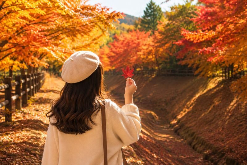 Tokyo Mount Fuji Kawaguchiko & Gotemba Premium Outlets Day Trip - The guide and driver can shape the day