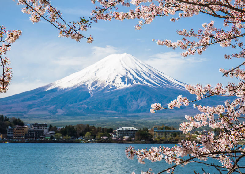 Tokyo Mount Fuji & Lake Kawaguchi Full-Day Private Tour - Guides and service can shape the whole experience