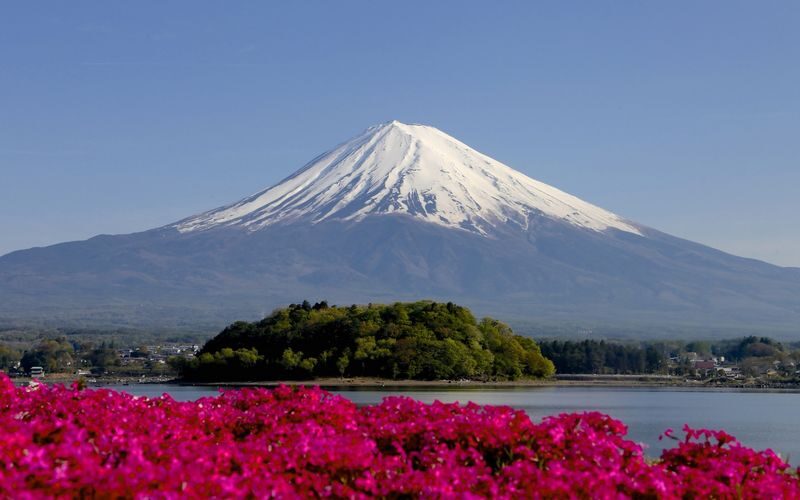 Tokyo Mount Fuji & Lake Kawaguchi Full-Day Private Tour - A few practical questions to settle early