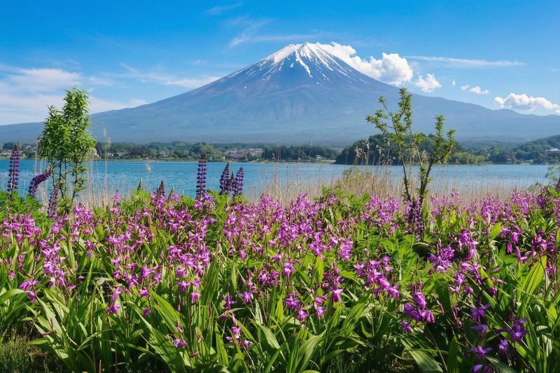 Tokyo Mount Fuji Lake Kawaguchiko Full-Day Small Group Tour (Driver and Guide Service) - A day trip built around Fuji views