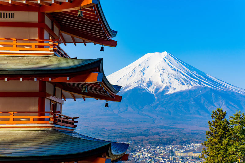 Tokyo Mount Fuji Lake Kawaguchiko Full-Day Small Group Tour (Driver and Guide Service) - Practical points before you book