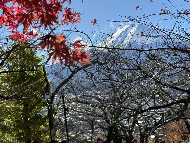 Tokyo Mount Fuji & Lake Kawaguchiko Full-Day Tour with Private Car - A private ride changes the shape of a Fuji day
