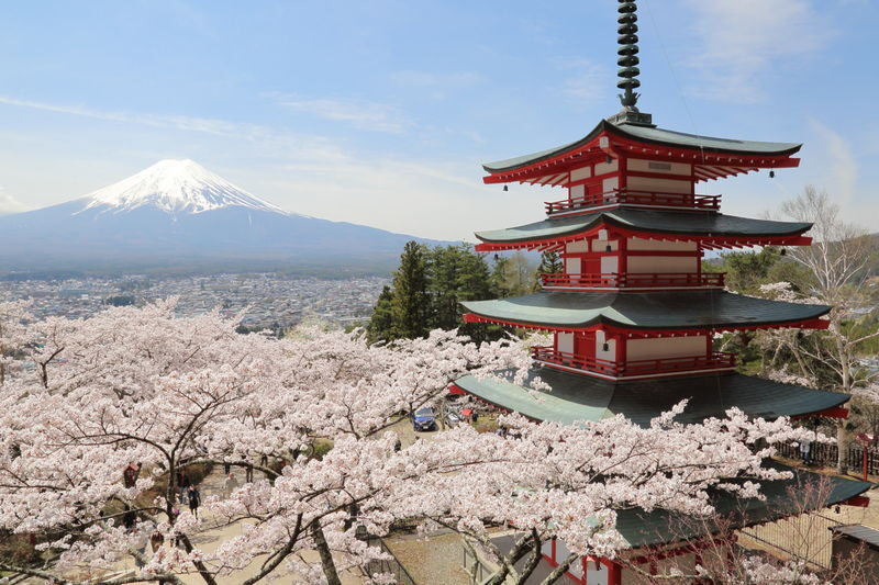 Tokyo Mount Fuji & Lake Kawaguchiko Full-Day Tour with Private Car - Weather, timing, and the limits of a full day