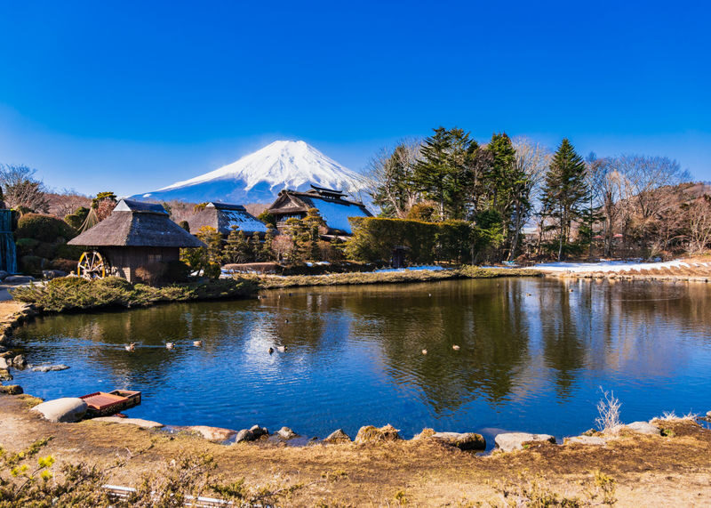 Tokyo Mount Fuji & Lake Kawaguchiko Full-Day Tour with Private Car - Who will get the most from this tour?
