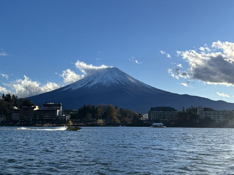 Tokyo Mount Fuji, Lake Kawaguchiko, Oshino Hakkai Day Tour - What the price buys, and what to check