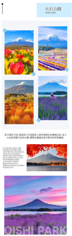 Tokyo Mount Fuji & Lake Kawaguchiko Sunset Tour - Chureito Pagoda at the hour that matters