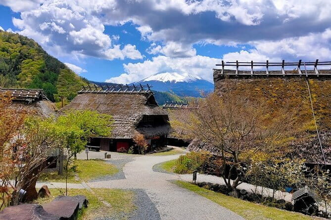 Tokyo: Mount Fuji Must-see Attractions One Day Sightseeing Tour - Practical Considerations and Who It’s For