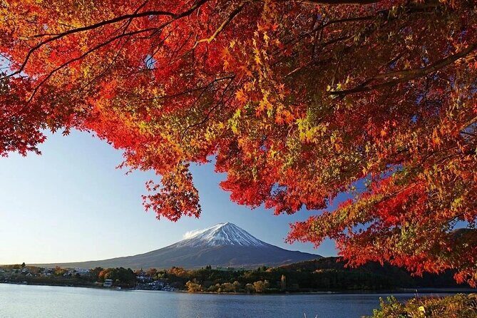Tokyo: Mount Fuji One Day Trip Lake Kawaguchi & Lake Yamanaka - Key Points