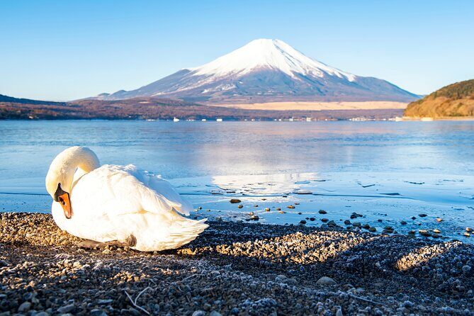 Tokyo: Mount Fuji One Day Trip Lake Kawaguchi & Lake Yamanaka - A Closer Look at the Itinerary