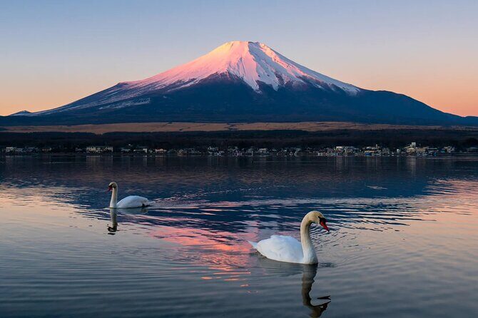 Tokyo: Mount Fuji One Day Trip Lake Kawaguchi & Lake Yamanaka - Who Will Enjoy This Tour?