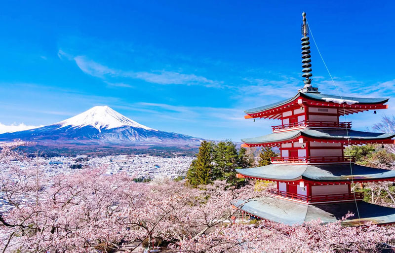 Tokyo Mount Fuji Oshino Hakkai Shopping Day Trip - The useful details at a glance