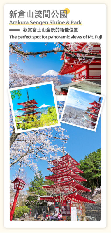 Tokyo Mount Fuji Oshino Hakkai Shopping Day Trip - Driver-guide service and the shared ride