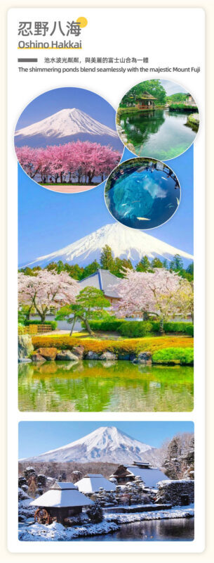 Tokyo Mount Fuji Oshino Hakkai Shopping Day Trip - What the price covers, and what it does not