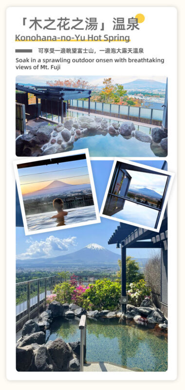Tokyo Mount Fuji Oshino Hakkai Shopping Day Trip - Who should book this Fuji day trip?