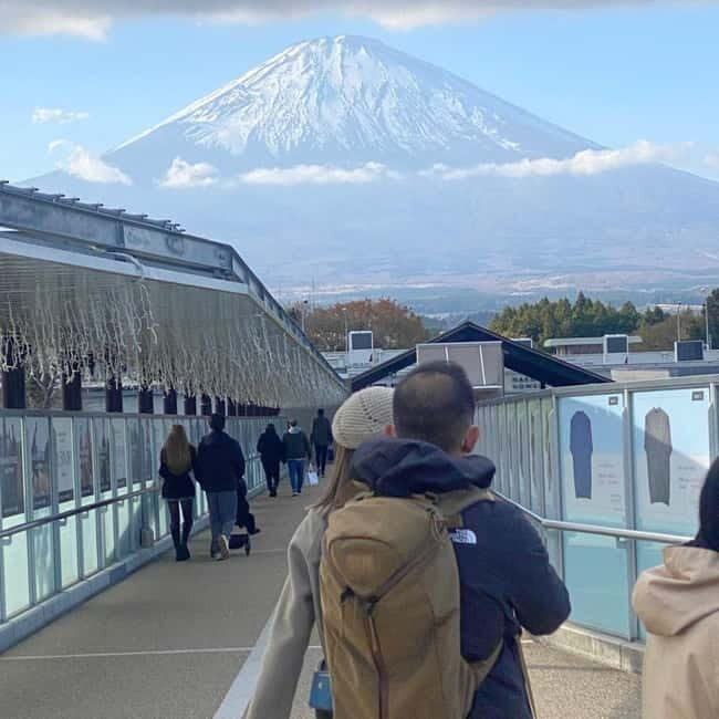 Tokyo: Mount Fuji Private Day Tour Comfortable Pickup & Drop - Exploring Japan’s Iconic Mountain in Style