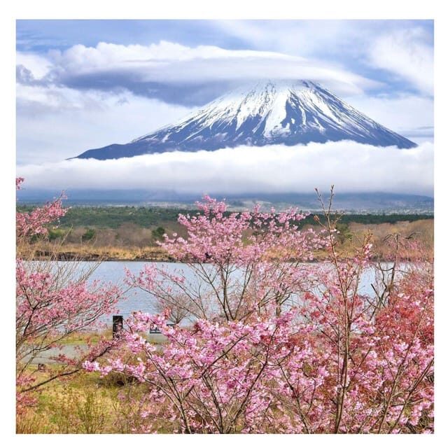 Tokyo: Mount Fuji Private Day Tour Comfortable Pickup & Drop - Who Would Love This Tour?
