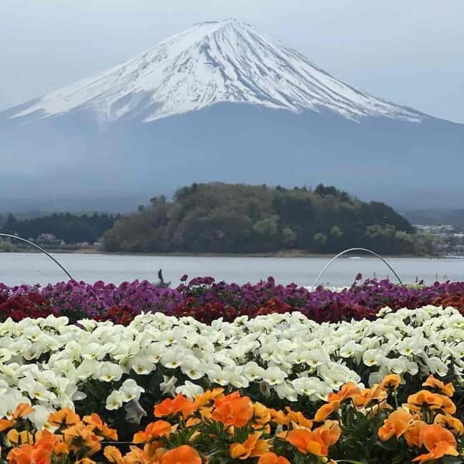 Tokyo: Mount Fuji Private Day Tour With Low Price Guarantee - Final Thoughts